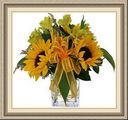 Virginias Flowers & Gifts, 810 Story St, Boone, IA 50036, (515)_433-5281